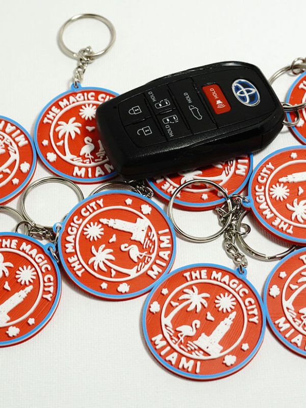 Keychains with Toyota Fob. Reference with standard car key fob (for scale)